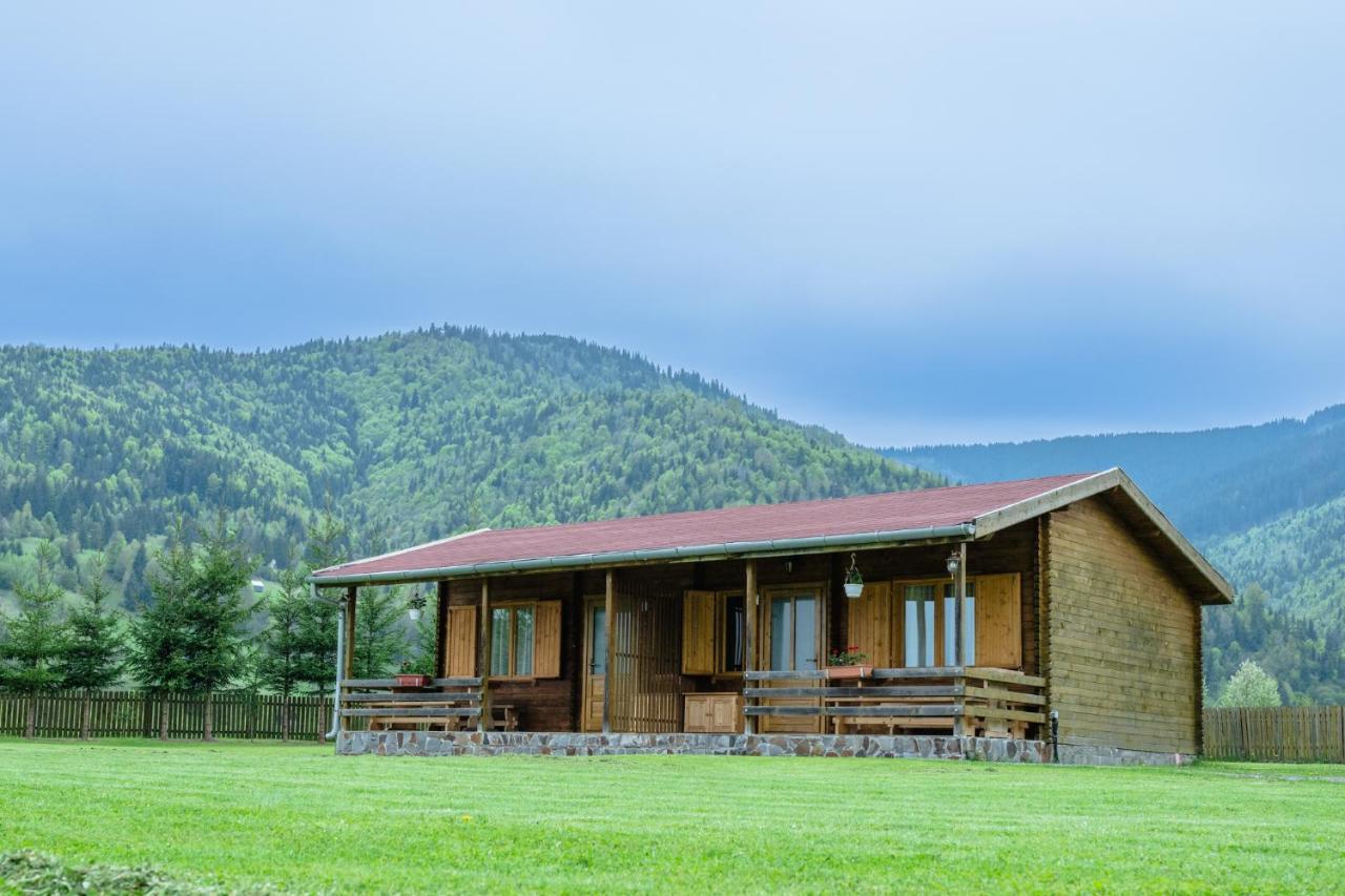 Biotour Camping & Restaurant Ghimeş-Făget Екстериор снимка
