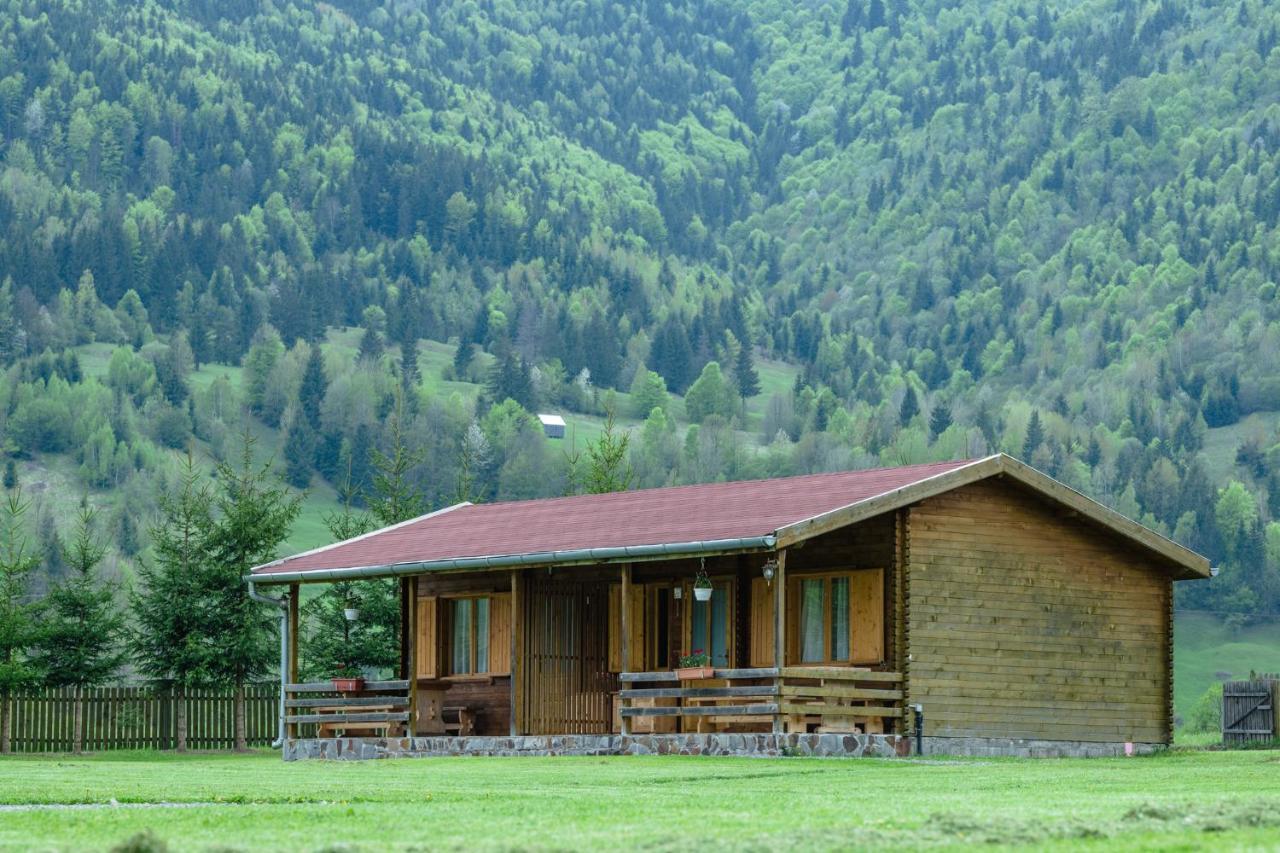 Biotour Camping & Restaurant Ghimeş-Făget Екстериор снимка